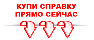 справка в Москве